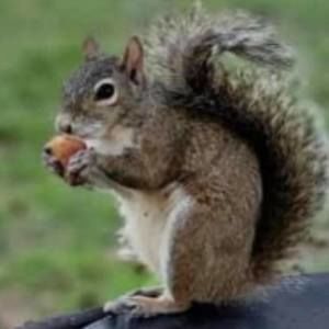 Meet your Posher, Andres